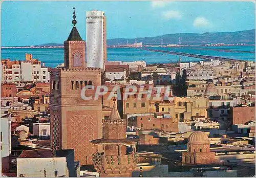 Cartes postales moderne Tunisie terrasse du palais d'orient