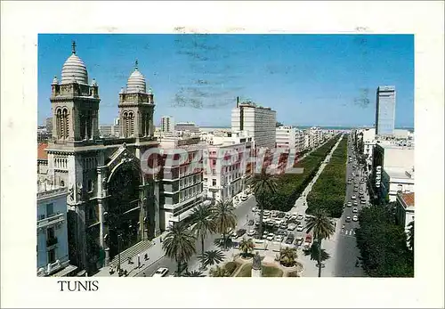 Moderne Karte Tunisie charmes et douceur avenue habib bourguiba