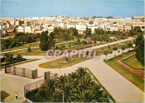 Cartes postales moderne Tunis jardin habib thameur