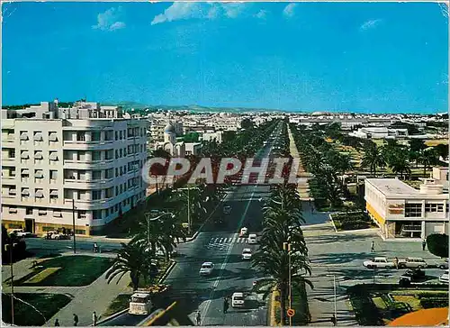 Cartes postales moderne Tunis l'avenue mohamed V