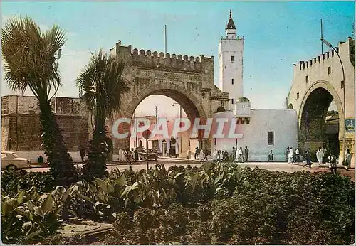 Cartes postales moderne Tunis bab el khadra