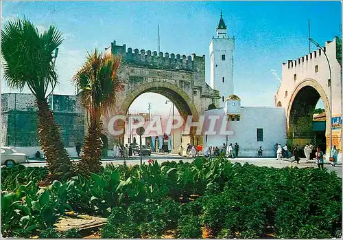 Cartes postales moderne Tunis bab el khadra