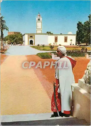 Cartes postales moderne Tunis le bardo