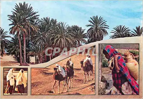 Cartes postales moderne Tunisie souvenir