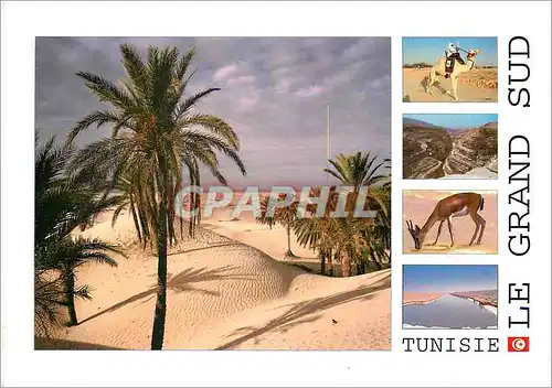 Cartes postales moderne Tunisie le grand sud