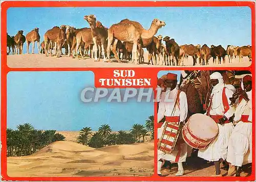 Cartes postales moderne Tunisien