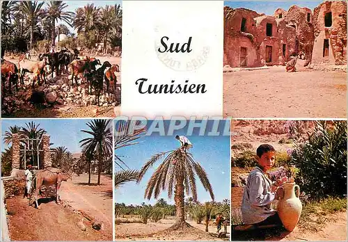 Moderne Karte Vue pittoresque du sud tunisien