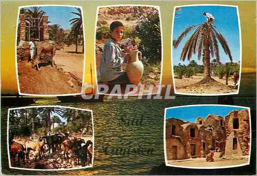Moderne Karte Vues pittoresque du sud tunisien
