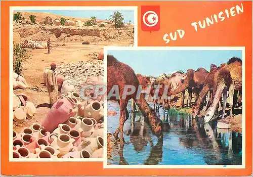 Cartes postales moderne Sud tunisien Chameaux