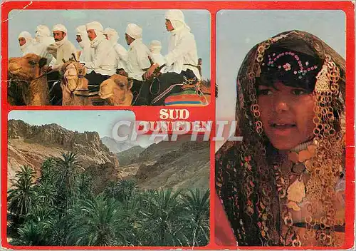 Cartes postales moderne Sud tunisien Chameaux