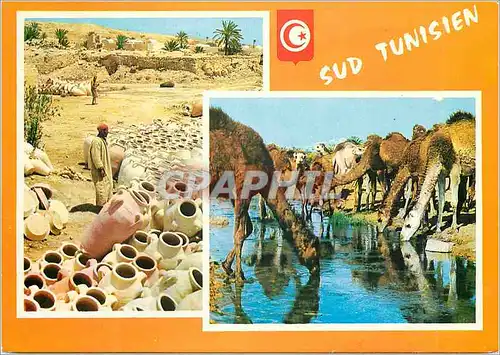 Moderne Karte Sud tunisien Chameaux