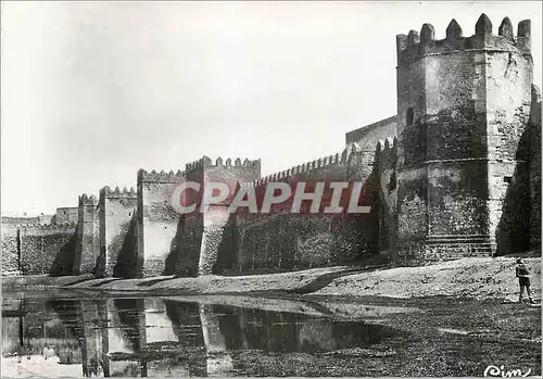 Cartes postales moderne sfax (tubisie) les remparts
