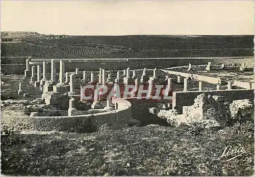 Cartes postales moderne Carthage basilique saint cyprien