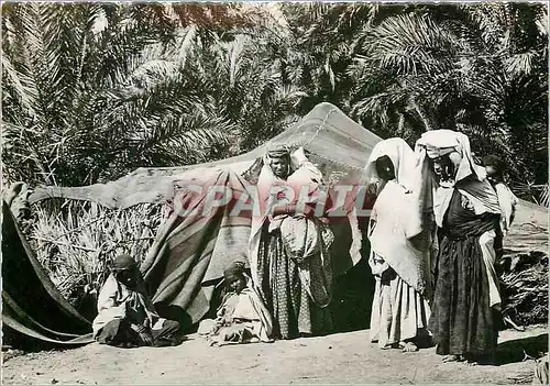 Cartes postales moderne Famille nomade dans l'oasis