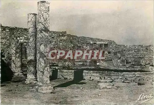 Cartes postales moderne Carthage romaine