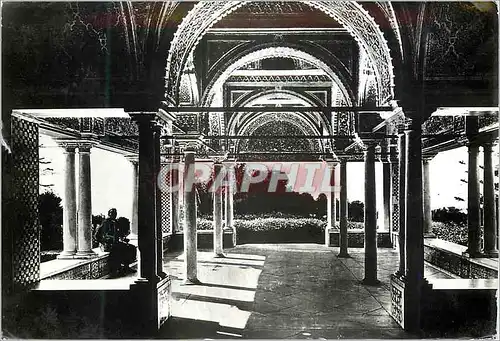 Cartes postales moderne Tunis le belvedere la kouba