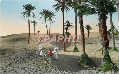 Cartes postales moderne Collection artistique l'afrique dans la palmeraie