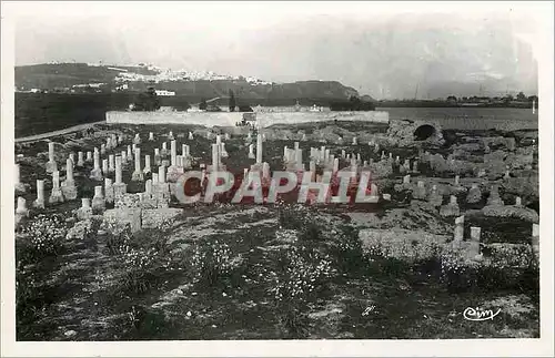 Cartes postales moderne Ruines de carthage(tunisie) basilique de damous karitas
