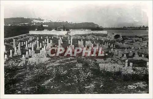 Moderne Karte Ruines de carthage(tunisie) basilique de damous karitas