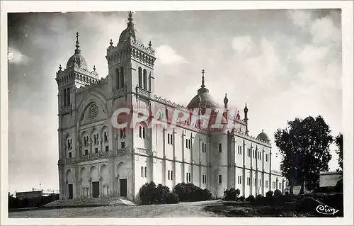 Cartes postales moderne Carthage (tunisie) la basilique