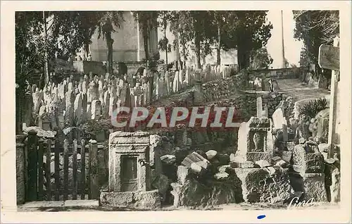 Cartes postales moderne Carthage (tunisie) jardin du musee lavigerie stelles puniques