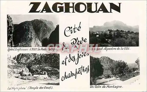 Cartes postales moderne Zaghouan cite du reve et des joies champetres