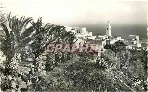 Moderne Karte Sidi bou said vue generale