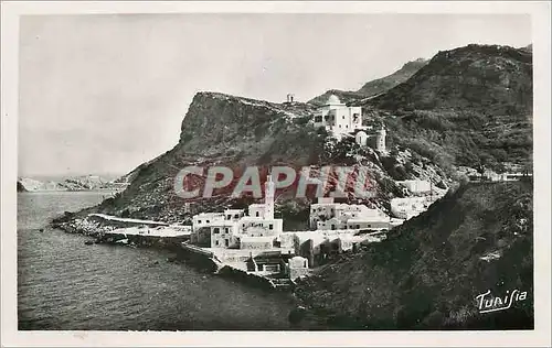 Cartes postales moderne Kourbous station thermal (tunisie) vue generale