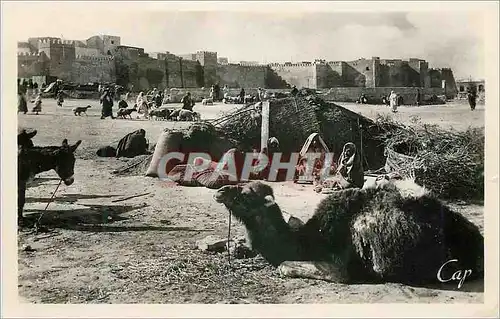 Cartes postales moderne Sfax le marche indigene et les remparts Chameau