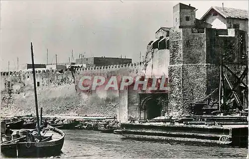 Cartes postales moderne Bizerte l'entree du vieux port