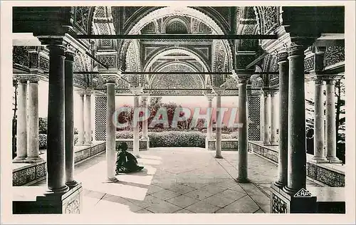 Cartes postales moderne Tunis le belvedere la kouba