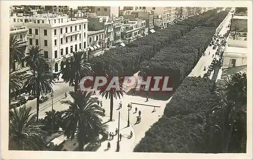 Cartes postales moderne Tunis place de la residence et avenue jules ferry