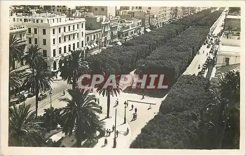 Moderne Karte Tunis place de la residence et avenue jules ferry