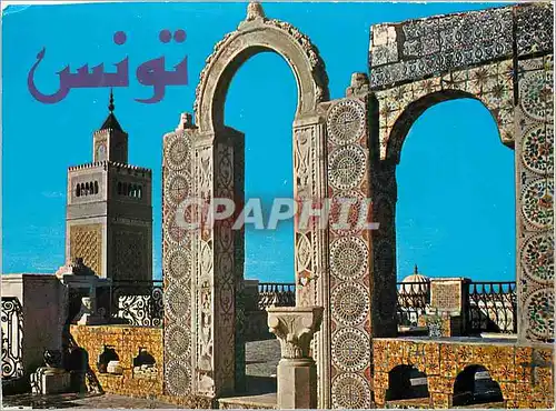 Cartes postales moderne Tunis terrasse du palais d'orient
