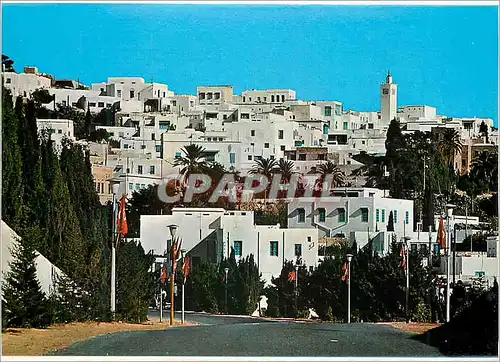 Moderne Karte Sidi bou said vue panoramique