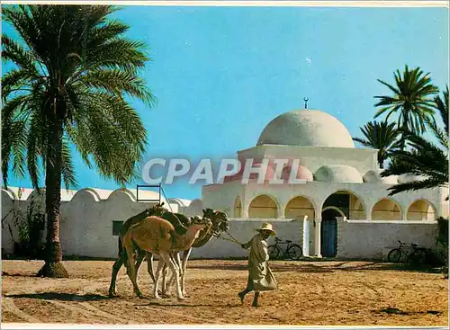 Cartes postales moderne Jerba la mosquee de mahboubine