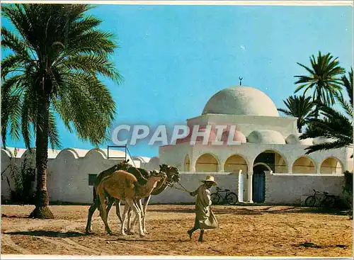 Moderne Karte Jerba la mosquee de mahboubine