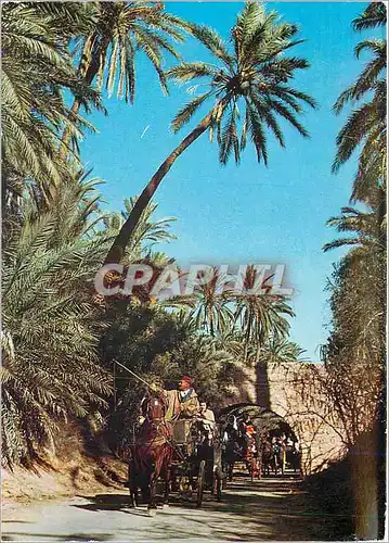 Cartes postales moderne Gabes matmata medenine