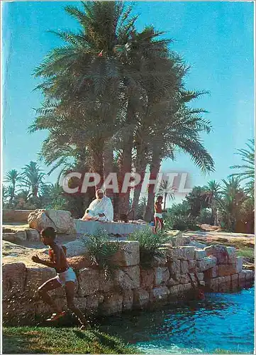 Cartes postales moderne Le barrage romain de l'oasis de gabes
