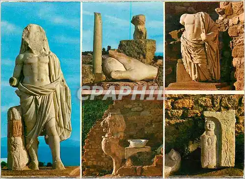 Cartes postales moderne Carthage antiquarium