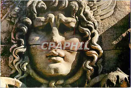 Cartes postales moderne Turkey didim tete de meduse