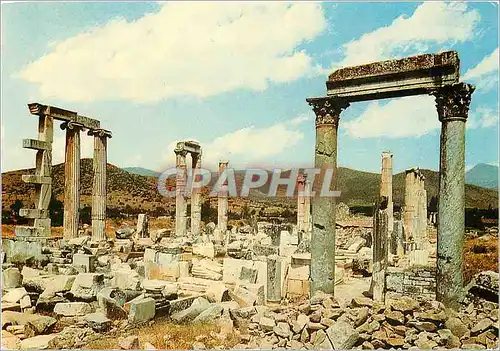 Cartes postales moderne Turkey aydin aphrodisias