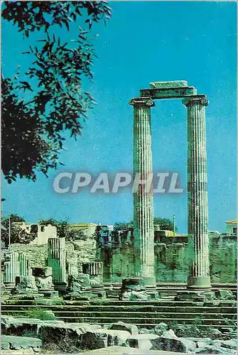 Cartes postales moderne Didyma apollo temple
