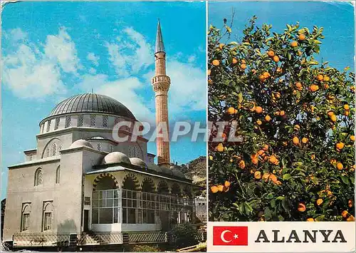 Cartes postales moderne Alanya Turkey