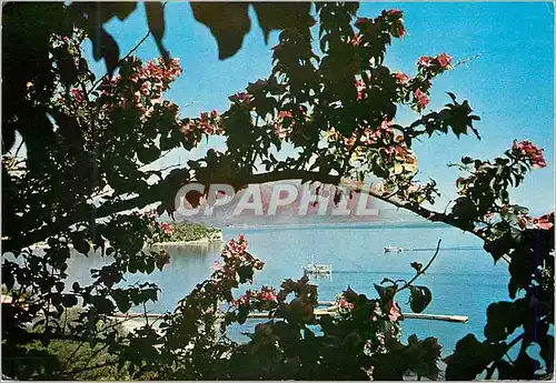 Cartes postales moderne Turkey Kemer