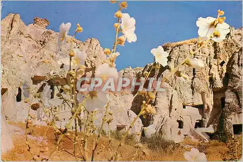 Cartes postales moderne Urgup Nevsehir Turkey Les permieres refuges de chertiens dans les rocs