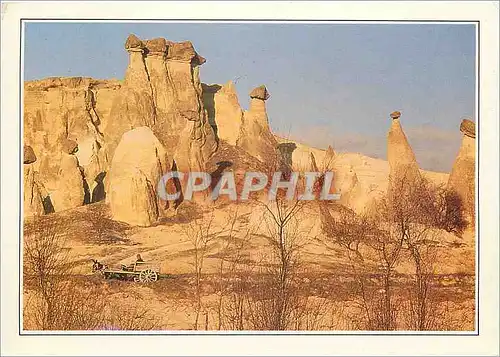 Cartes postales moderne Turkey l'aspect insolite d'une gigantesque champignonniere