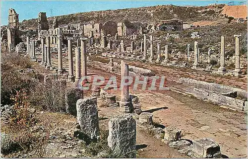 Cartes postales moderne Turkey Antalya Perge (mrtuna)
