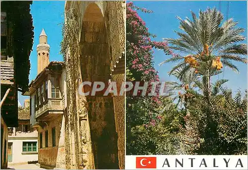 Moderne Karte Turkey Antalya Les vue de l'enciennes maison et de parc