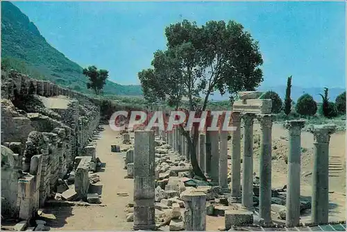 Cartes postales moderne Turkey Ephesus